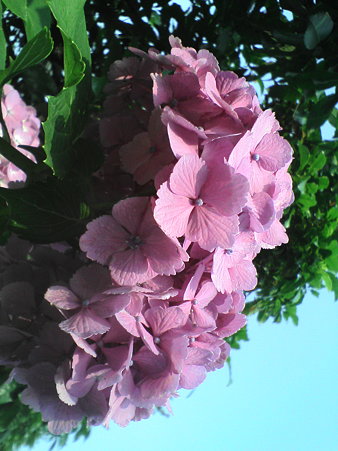 20090619154401