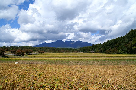 大豆畑と八ヶ岳2