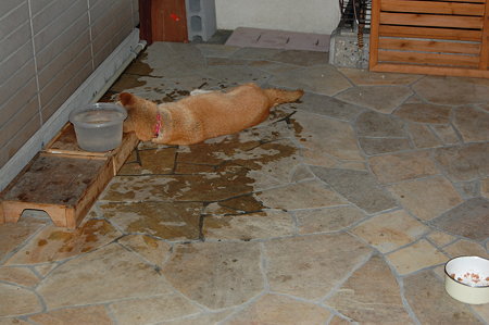 2009_08260001