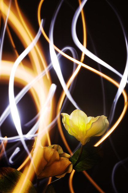 花のオーラ