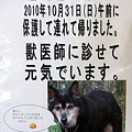 富幕山へ今年☆トミー１２７回登頂　先日迷子の犬