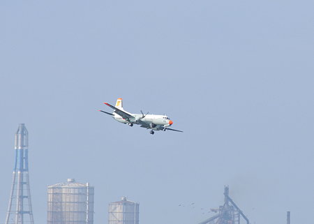 DSC_1901a