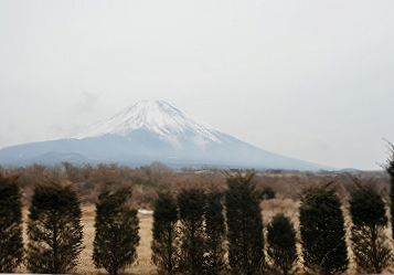 県道71号線沿い1