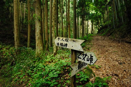1106230922_DSC_1841