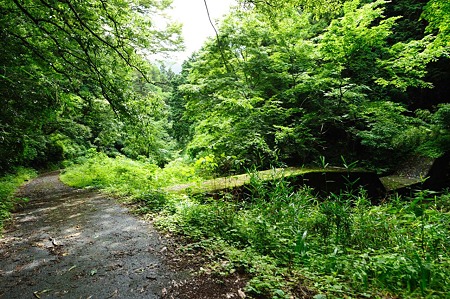 1106230928_DSC_1865