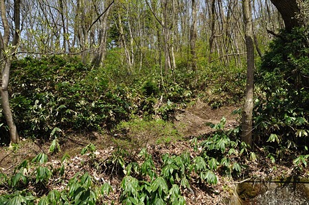 1005051349_DSC_5654