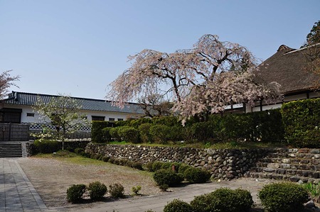 1005051436_DSC_5687