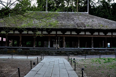 1005051709_DSC_5978