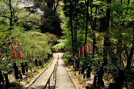 1005060945_DSC_6280