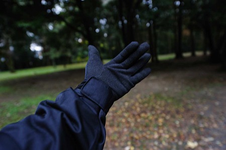 1011231036_DSC_4310