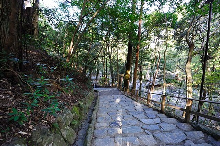 1011240931_DSC_5088