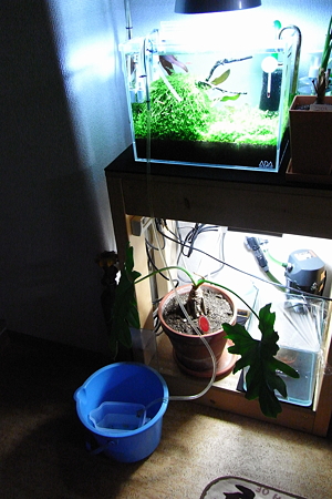 水合わせ