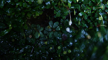 DSCF9876