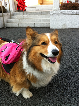 写真 1