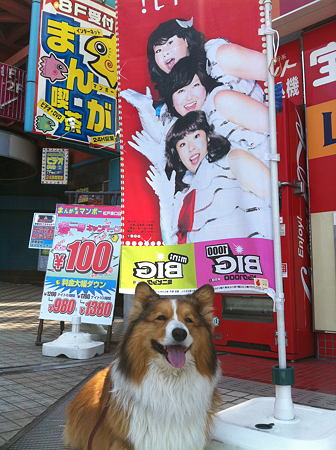 写真 1