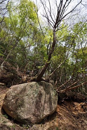 d9011050513