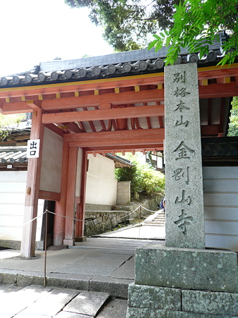 P1010604