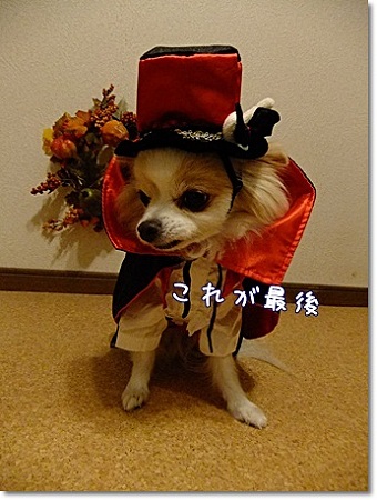最後