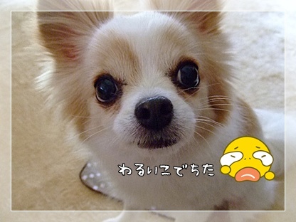 悪い子