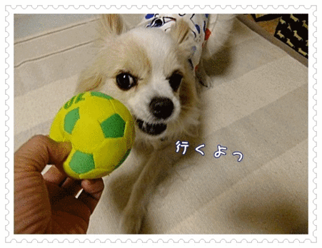雨の日の遊び
