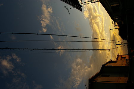IMGP6873