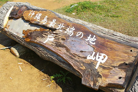 IMGP7498