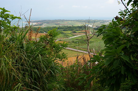 IMGP0645