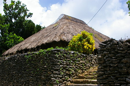 IMGP0038