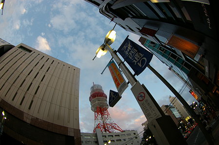 IMGP7961
