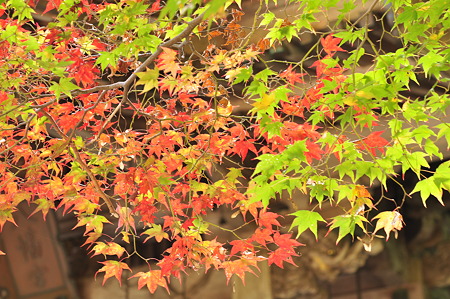 京都府亀岡市・鍬山神社-3