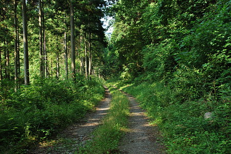 栗尾隧道旧道