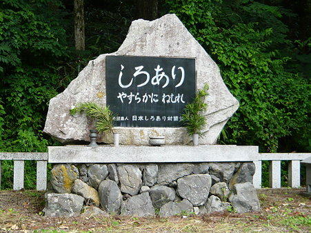 P1000597