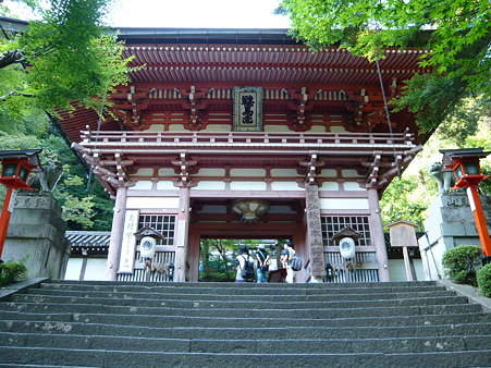 P1010020