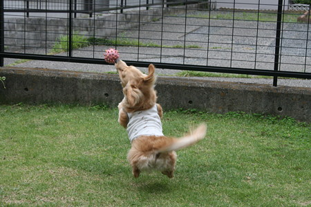 もうちょいなりお~~!!