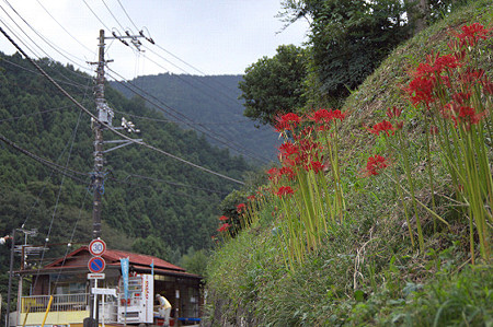 日向薬師 11