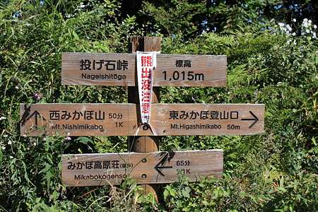 2009092047
