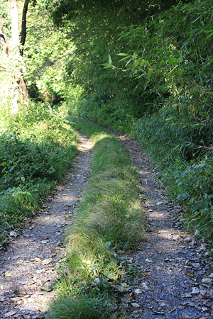 2009092035