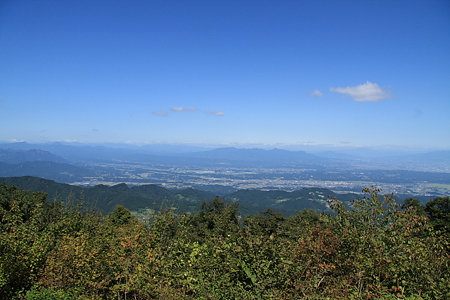 2009092073