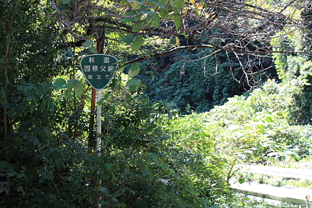 2009092091