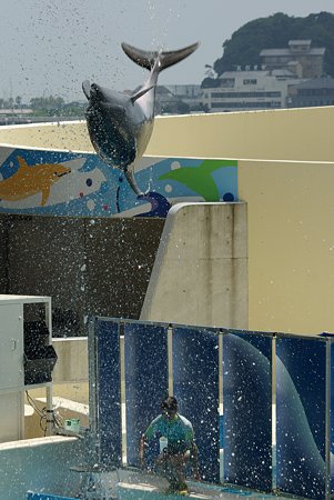 20090803_121536_2