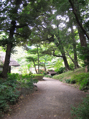 Path through the trees in Koishikawa Korakuen Garden